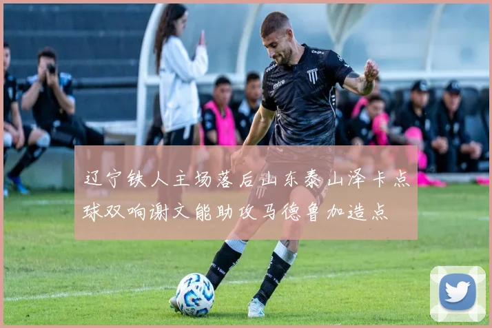 辽宁铁人主场落后山东泰山泽卡点球双响谢文能助攻马德鲁加造点